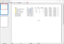 scaricare Airport Mania: First Flight