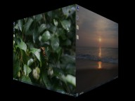 scaricare All Video Downloader App - New Downloader 2021 APK