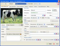 scaricare Amateur Surgeon 4 APK