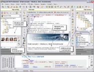scaricare Any DVD Converter