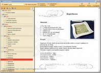scaricare Apex Legends Mobile