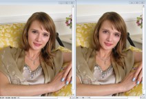 scaricare APK Viewer