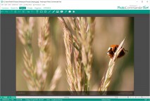 scaricare Arabic - Urdu Translator