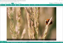 scaricare Arabic - Urdu Translator