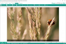 scaricare Arabic - Urdu Translator