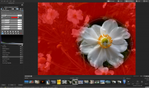 scaricare 4 Pics 1 Word APK