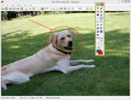 scaricare 40 हदीस-ए-नब्वी : Hadees in Hindi APK