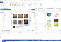 scaricare 94 Degrees: fun trivia quiz APK